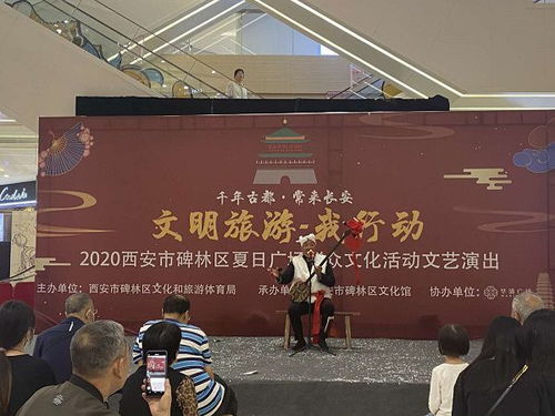 2020年西安市碑林區(qū)系列群眾文化活動(dòng)與文化藝術(shù)交流策劃